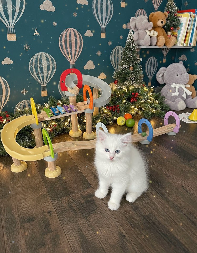 Circuit_Musical_Noel_final